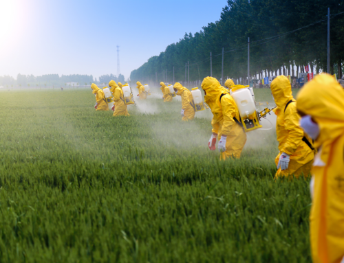 La presenza dei pesticidi nelle insalate in busta: un’analisi approfondita