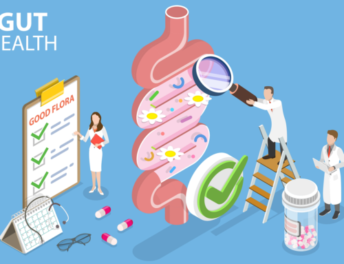 Gut Microbiota e Leaky Gut: un nuovo sguardo sulla salute intestinale