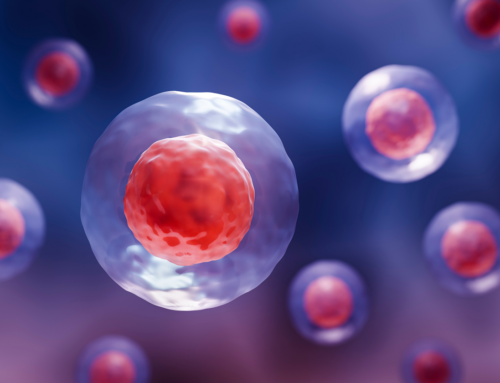 Organi chimera e trapianto di cellule staminali: una rivoluzione nella medicina rigenerativa