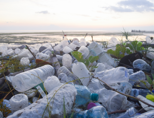 Il convegno di Busan e la lotta contro l’inquinamento da plastica