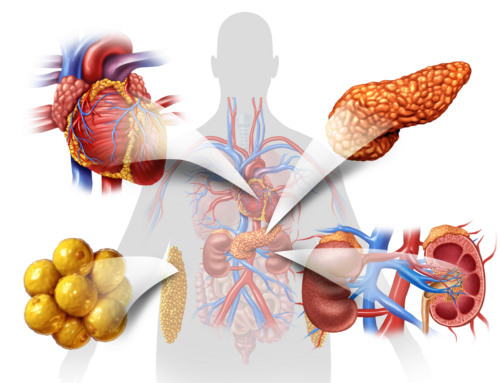 La sindrome cardio-reno-metabolica: una sfida integrata per il benessere