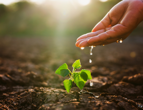 Le plantibody: gli anticorpi vegetali che rivoluzionano la medicina e l’agricoltura